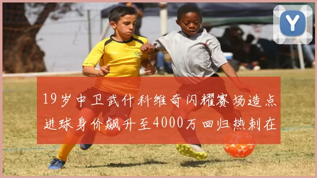 19岁中卫武什科维奇闪耀赛场造点进球身价飙升至4000万回归热刺在即