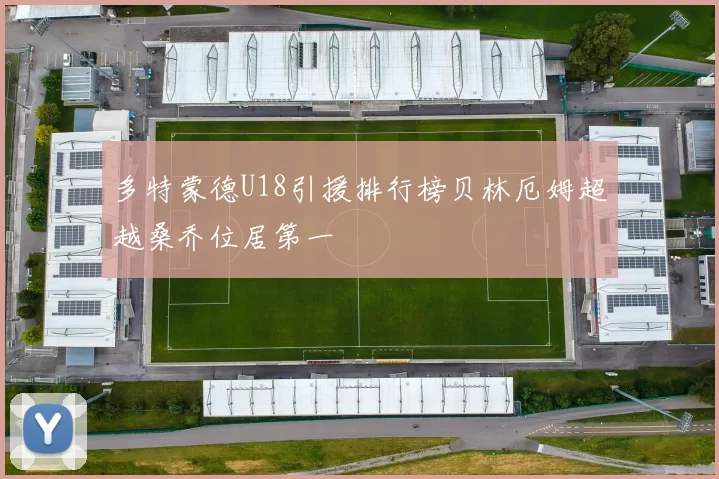 多特蒙德U18引援排行榜贝林厄姆超越桑乔位居第一